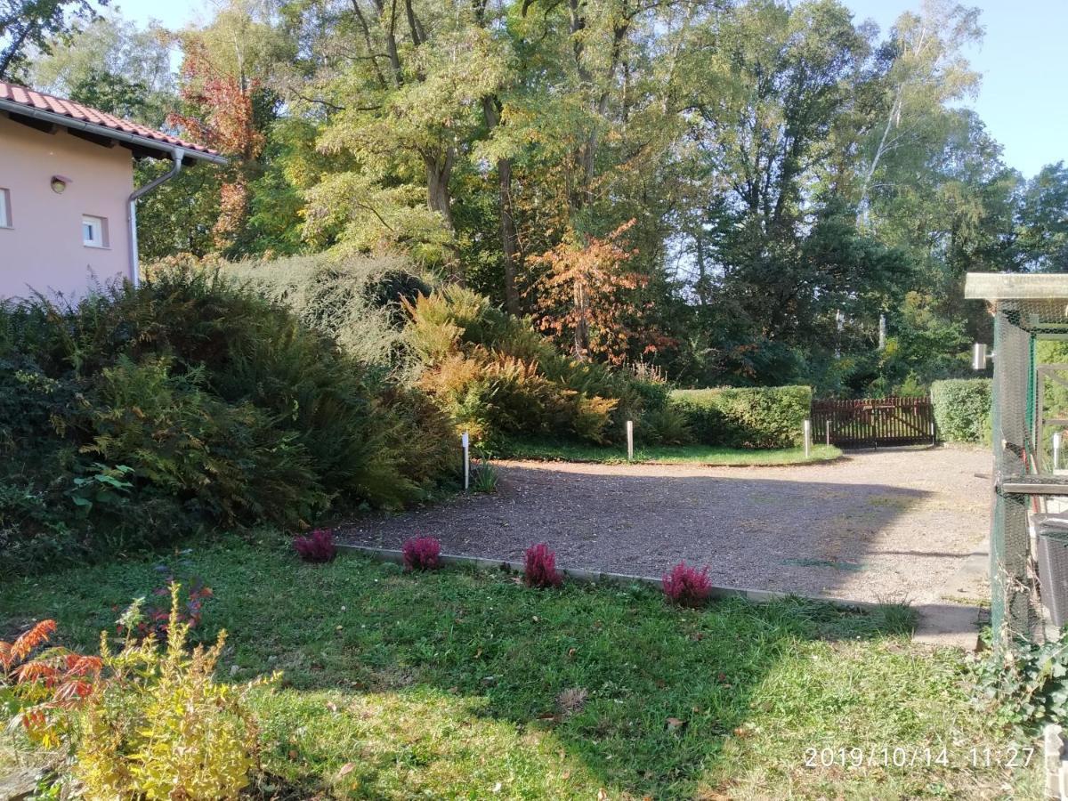 Kleines Gartenhaus Am Mahler Großschirma المظهر الخارجي الصورة